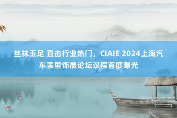 丝袜玉足 直击行业热门，CIAIE 2024上海汽车表里饰展论坛议程首度曝光