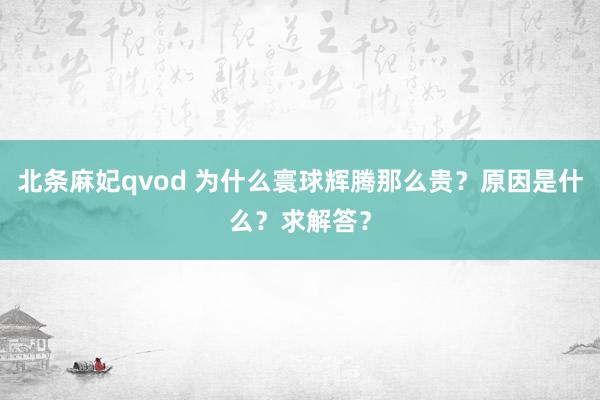 北条麻妃qvod 为什么寰球辉腾那么贵？原因是什么？求解答？