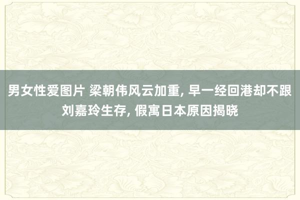 男女性爱图片 梁朝伟风云加重, 早一经回港却不跟刘嘉玲生存, 假寓日本原因揭晓