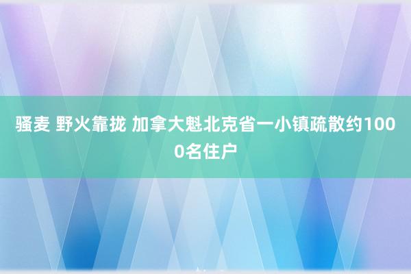 骚麦 野火靠拢 加拿大魁北克省一小镇疏散约1000名住户