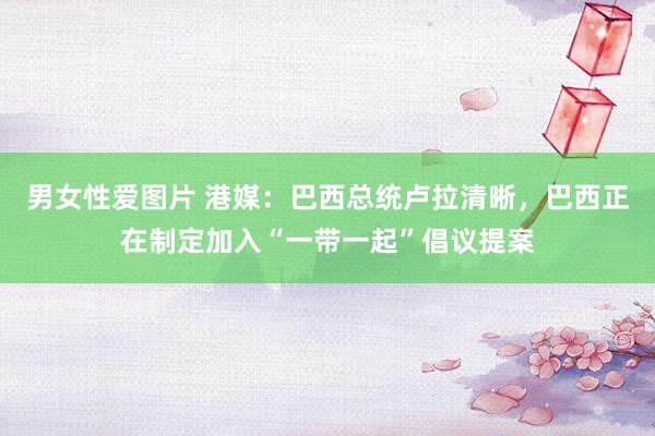 男女性爱图片 港媒：巴西总统卢拉清晰，巴西正在制定加入“一带一起”倡议提案