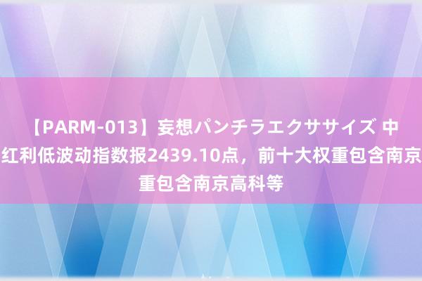 【PARM-013】妄想パンチラエクササイズ 中证泰康红利低波动指数报2439.10点，前十大权重包含南京高科等