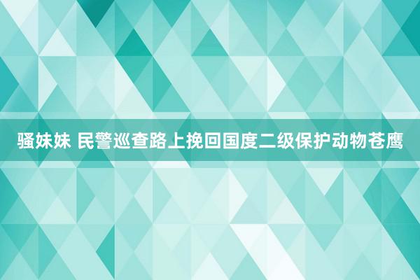 骚妹妹 民警巡查路上挽回国度二级保护动物苍鹰