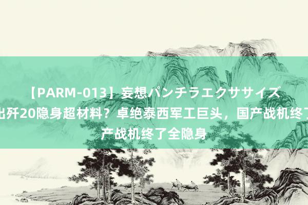 【PARM-013】妄想パンチラエクササイズ 民企搞出歼20隐身超材料？卓绝泰西军工巨头，国产战机终了全隐身