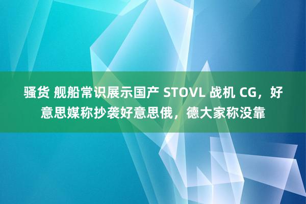 骚货 舰船常识展示国产 STOVL 战机 CG，好意思媒称抄袭好意思俄，德大家称没靠