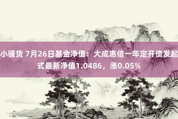 小骚货 7月26日基金净值：大成惠信一年定开债发起式最新净值1.0486，涨0.05%