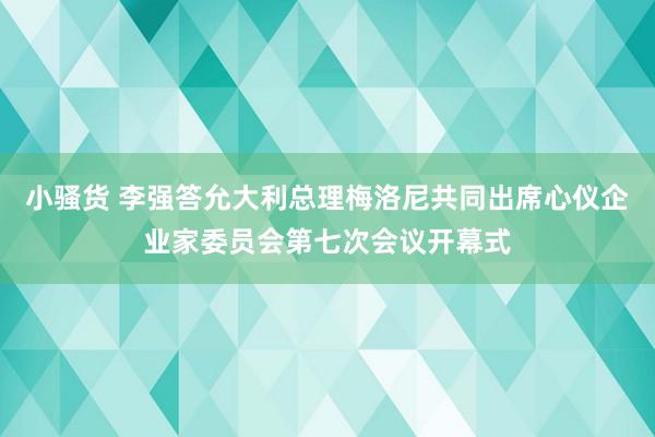 小骚货 李强答允大利总理梅洛尼共同出席心仪企业家委员会第七次会议开幕式