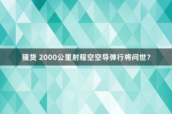 骚货 2000公里射程空空导弹行将问世？