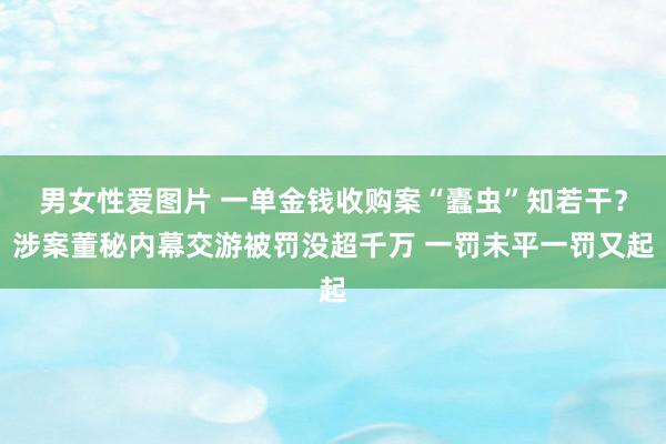 男女性爱图片 一单金钱收购案“蠹虫”知若干？涉案董秘内幕交游被罚没超千万 一罚未平一罚又起