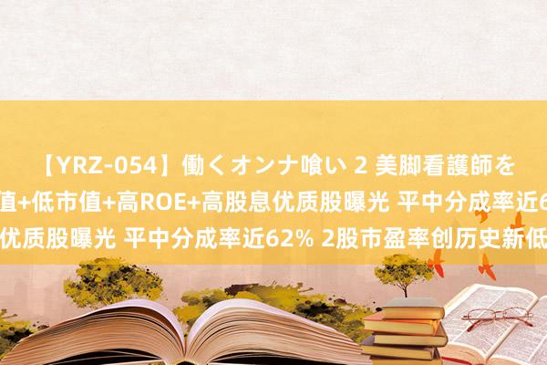 【YRZ-054】働くオンナ喰い 2 美脚看護師を食い散らかす！！ 低估值+低市值+高ROE+高股息优质股曝光 平中分成率近62% 2股市盈率创历史新低