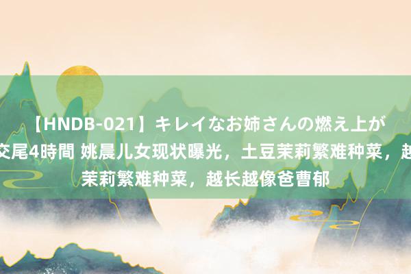 【HNDB-021】キレイなお姉さんの燃え上がる本物中出し交尾4時間 姚晨儿女现状曝光，土豆茉莉繁难种菜，越长越像爸曹郁