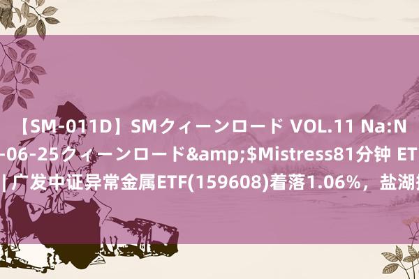 【SM-011D】SMクィーンロード VOL.11 Na:Na</a>2013-06-25クィーンロード&$Mistress81分钟 ETF最前哨 | 广发中证异常金属ETF(159608)着落1.06%，盐湖提锂主题走弱，贤丰控股高涨5.0%