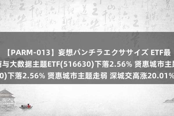 【PARM-013】妄想パンチラエクササイズ ETF最前方 | 中原中证云磋商与大数据主题ETF(516630)下落2.56% 贤惠城市主题走弱 深城交高涨20.01%