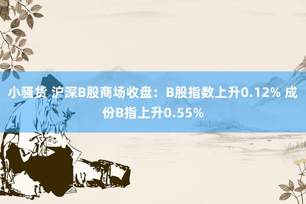 小骚货 沪深B股商场收盘：B股指数上升0.12% 成份B指上升0.55%