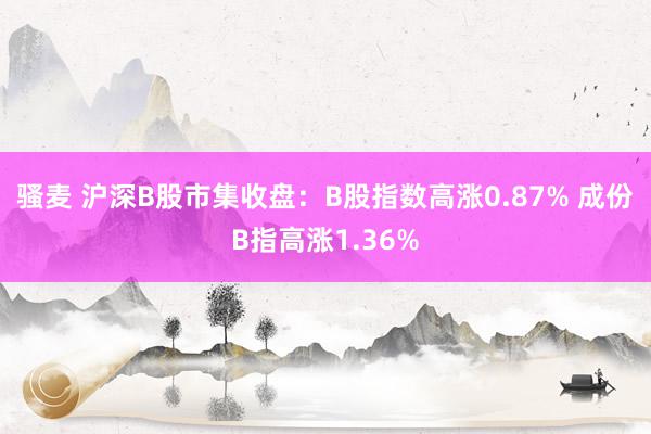 骚麦 沪深B股市集收盘：B股指数高涨0.87% 成份B指高涨1.36%