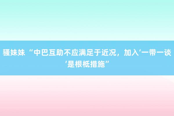 骚妹妹 “中巴互助不应满足于近况，加入‘一带一谈’是根柢措施”