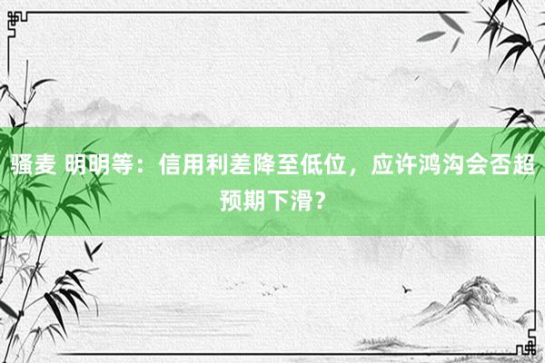 骚麦 明明等：信用利差降至低位，应许鸿沟会否超预期下滑？