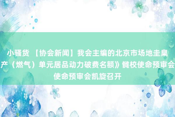 小骚货 【协会新闻】我会主编的北京市场地圭臬《热电联产（燃气）单元居品动力破费名额》雠校使命预审会凯旋召开