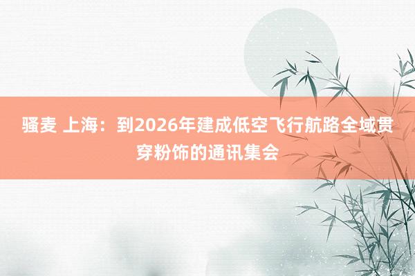 骚麦 上海：到2026年建成低空飞行航路全域贯穿粉饰的通讯集会