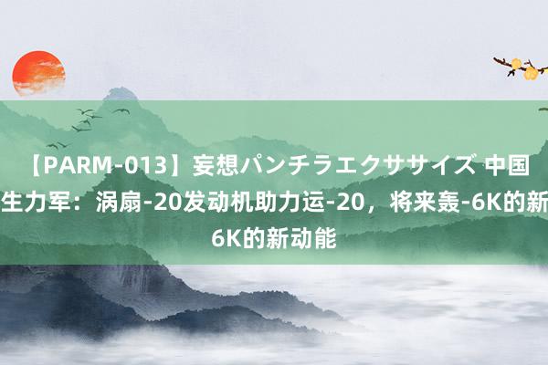 【PARM-013】妄想パンチラエクササイズ 中国空军生力军：涡扇-20发动机助力运-20，将来轰-6K的新动能