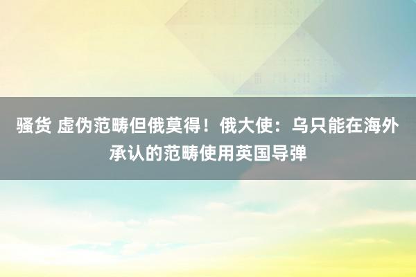 骚货 虚伪范畴但俄莫得！俄大使：乌只能在海外承认的范畴使用英国导弹