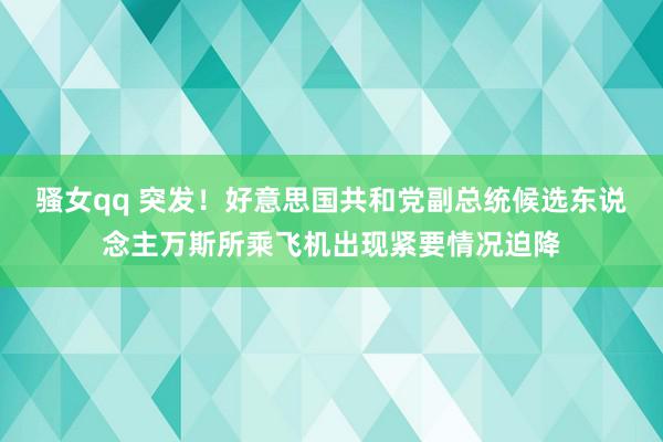 骚女qq 突发！好意思国共和党副总统候选东说念主万斯所乘飞机出现紧要情况迫降