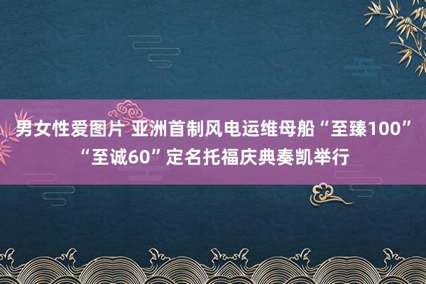 男女性爱图片 亚洲首制风电运维母船“至臻100”“至诚60”定名托福庆典奏凯举行