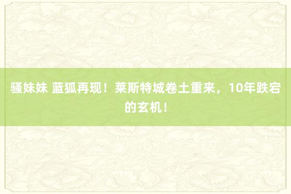 骚妹妹 蓝狐再现！莱斯特城卷土重来，10年跌宕的玄机！