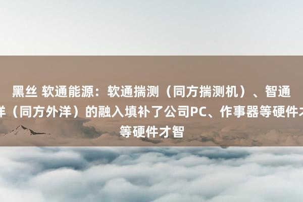 黑丝 软通能源：软通揣测（同方揣测机）、智通外洋（同方外洋）的融入填补了公司PC、作事器等硬件才智