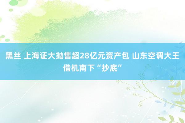 黑丝 上海证大抛售超28亿元资产包 山东空调大王借机南下“抄底”