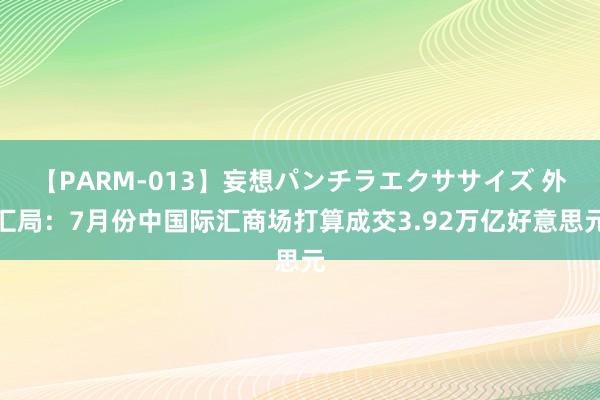 【PARM-013】妄想パンチラエクササイズ 外汇局：7月份中国际汇商场打算成交3.92万亿好意思元