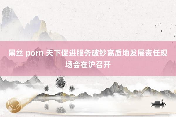 黑丝 porn 天下促进服务破钞高质地发展责任现场会在沪召开