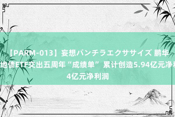 【PARM-013】妄想パンチラエクササイズ 鹏华5年地债ETF交出五周年“成绩单” 累计创造5.94亿元净利润