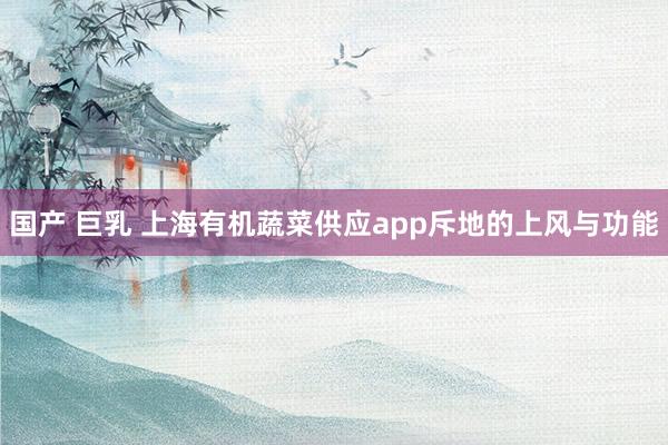 国产 巨乳 上海有机蔬菜供应app斥地的上风与功能