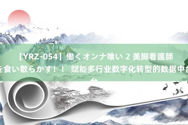 【YRZ-054】働くオンナ喰い 2 美脚看護師を食い散らかす！！ 赋能多行业数字化转型的数据中台