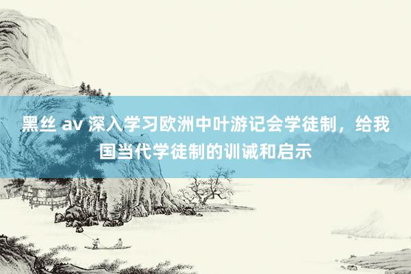 黑丝 av 深入学习欧洲中叶游记会学徒制，给我国当代学徒制的训诫和启示