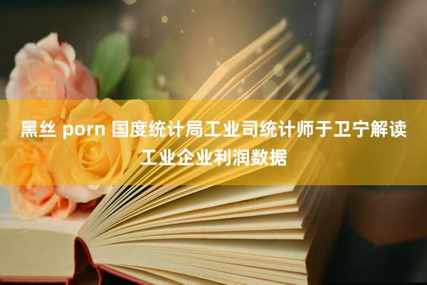 黑丝 porn 国度统计局工业司统计师于卫宁解读工业企业利润数据